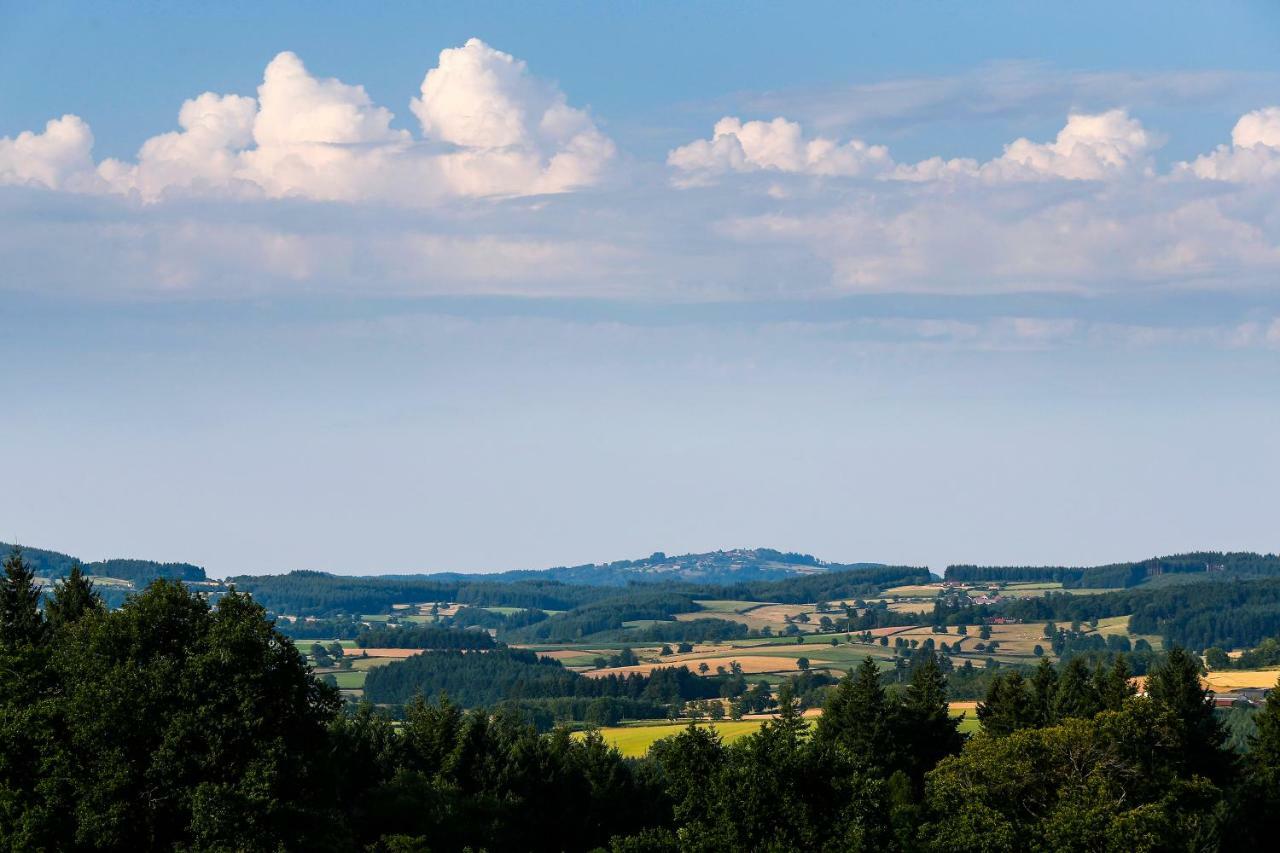 Les Perruchons Ancienne Grange Renovee Avec Soin Villa Ozolles Екстериор снимка