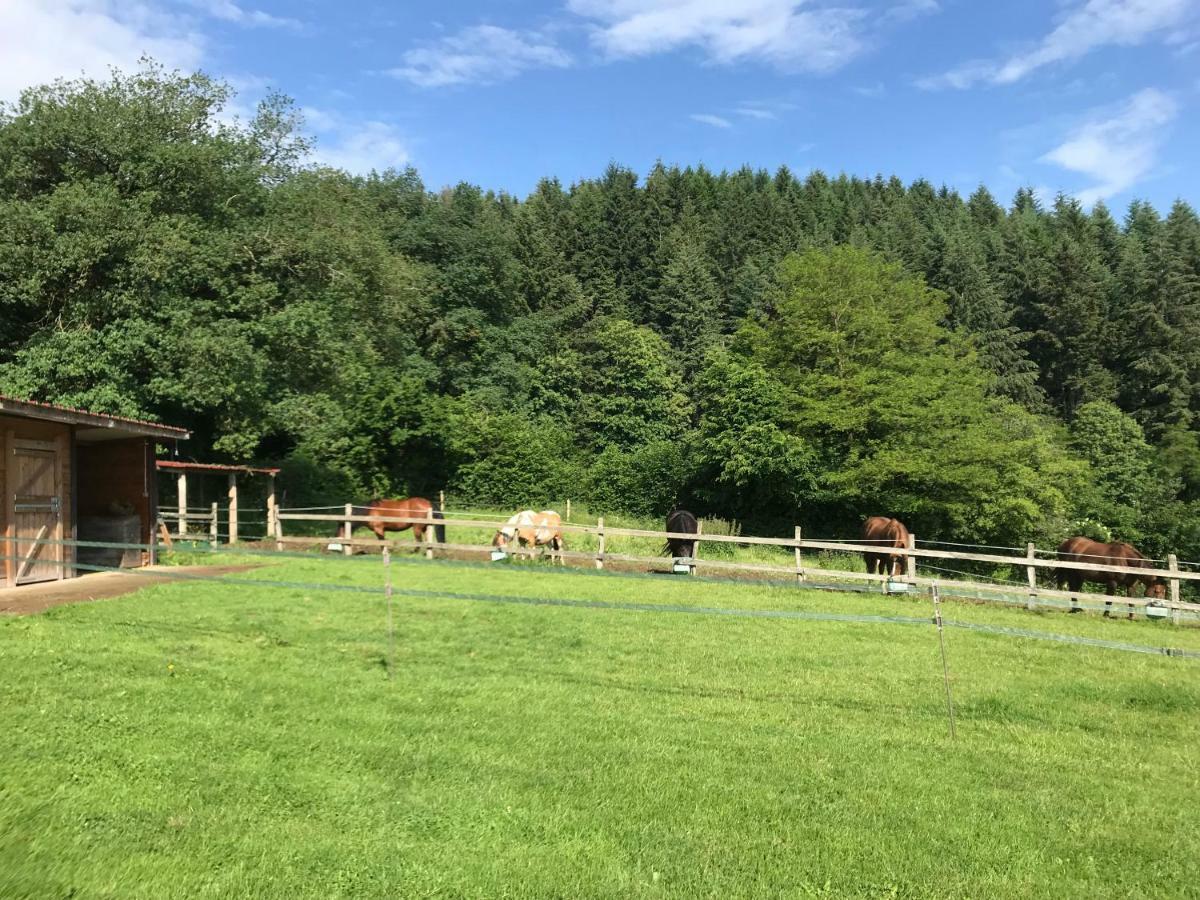 Les Perruchons Ancienne Grange Renovee Avec Soin Villa Ozolles Екстериор снимка